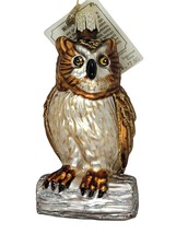 Wise Old Owl Old World Christmas Tree Ornament Glass Bird Nature Wildlife - £12.50 GBP