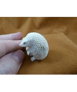 Hed-w6 little white Hedgehog shed moose ANTLER figurine Bali detailed ca... - £94.83 GBP