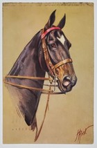 Horse Portrait Artist Signed J Rivst to South Westport Mass Postcard D25 - £5.54 GBP