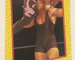 Sid Vicious WCW Trading Card World Championship Wrestling 1991 #26 - £1.54 GBP