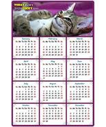 2020 Magnetic Calendar - Calendar Magnets - Today is My Lucky Day - Cat ... - £12.65 GBP
