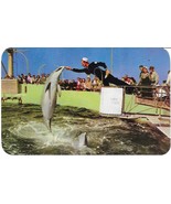 MARINE STUDIOS, FLORIDA &quot;Jumping Porpoise&quot; Kodachrome Postcard Unposted - $136.09 MXN