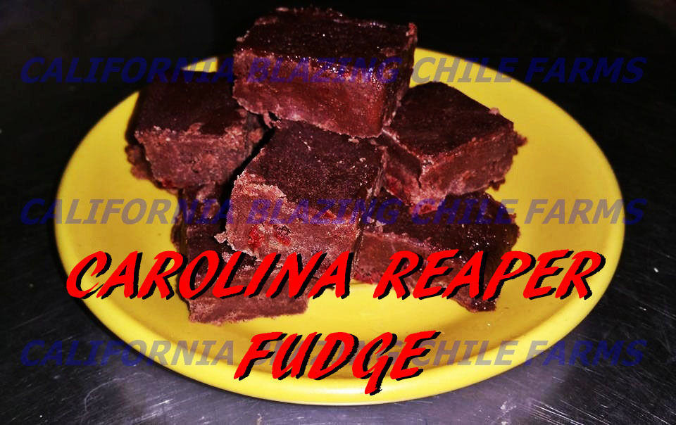 Carolina Reaper Fudge! World's Hottest Fudge.Absolutely delicious and inferno! - £7.47 GBP - £48.78 GBP