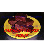 Carolina Reaper Fudge! World&#39;s Hottest Fudge.Absolutely delicious and in... - £7.42 GBP+