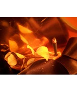 ~ HAMJADAH ~ WEALTH SPELL . POWERFUL AND INSTANT - €211,33 EUR