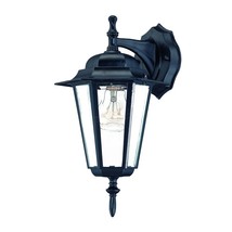 Matte Black Glass Hanging Lantern Wall Light - $119.82