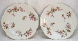 Pair of Small Haviland &amp; Co. Limoges Plates Delicate Flowers - £32.04 GBP