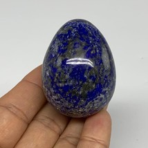 111.4g, 2&quot;x1.5&quot;, Natural Lapis Lazuli Egg Polished @Afghanistan, B33311 - £25.88 GBP