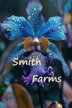 Item image 1 image 1