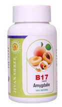 Vitamin B17 500 mg Purest Amygdalin (Apricot Kernel) Extract 100% Organic 60 cap - £19.45 GBP