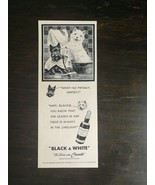 Vintage 1949 Black &amp; White Scotch Whiskey Scottie &amp; Terrier Dog Original... - £5.22 GBP