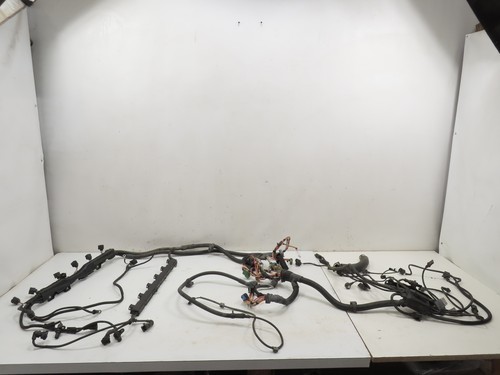 06 BMW Z4 E85 E86 #1298 Wire Wiring Harness Engine Pigtail Plug 6pd 3.0L... - $148.49