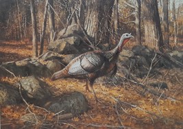 Autumn Monarch by Robert K. Abbett - Wild Turkey Stamp Print, artist signed, wit - £79.93 GBP