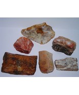 Stones &amp; Bones--6 Rocks &amp; Fossils All From Kern County, California - £7.08 GBP