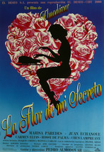The Flower of My Secret - Marisa Parades (Spanish) - Movie Poster Framed... - $32.50
