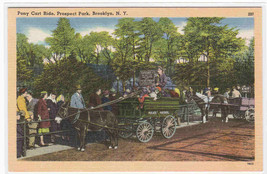 Pony Cart Ride Prospect Park Brooklyn New York City  NYC NY postcard - £5.01 GBP