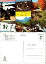 Tennessee Smoky Mountains National Park Skiing Bears Autumn Vintage Postcard - £7.43 GBP