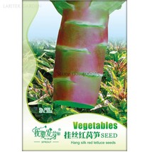 Red Skin Asparagus Lettuce Vegetables 30 Seeds Beautiful - $7.11