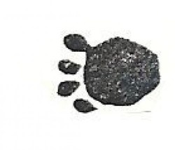 a Bear paw print Rubber Stamp  made in america free shipping bp1 - $9.46