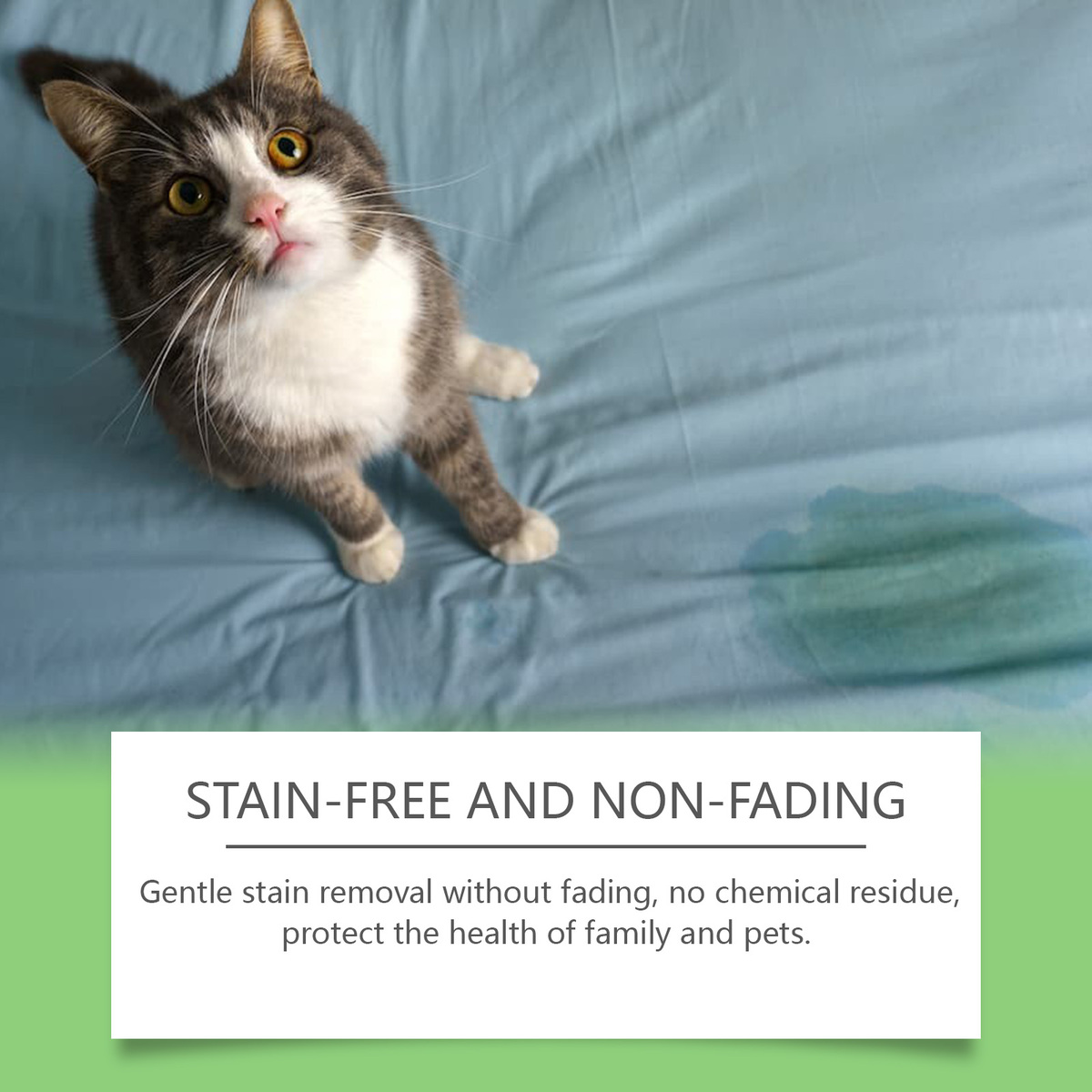 1/2/3Box x120ML Pet Stain Remover, Cat and Dog Stain, Food Oil, Saliva Cleaning Item image 4