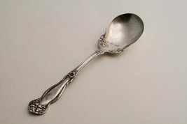 Antique 1908 Wm Rogers & Son Silverplate -Arbutus- Sugar Spoon #1678 - $12.00