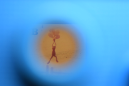 Item image 13