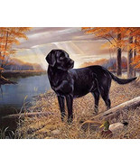 Black Lab SunRise Cross Stitch Pattern***LOOK***  - $55.22 MXN
