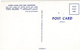 Olympic Ocean Strip Park Unposted Postcard Washington Vintage - £7.75 GBP
