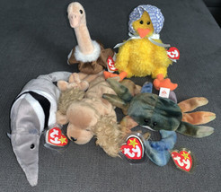 TY Beanie Babies Lot  Of 5 New With Tags Spunky,Claude,Ants,Bonnie,Stretch - £11.96 GBP