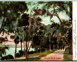 North Walk Ormond Florida FL 1909 DB Postcard F9 - £2.32 GBP