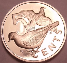 Rare Cameo Proof British Virgin Islands 1974 5 Cents~Excellent~Doves~Fre... - $4.69