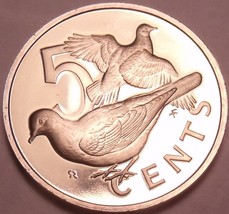 Rare Proof British Virgin Islands 1975 5 Cents~Doves~32,000 Minted~Free Shipping - £4.45 GBP