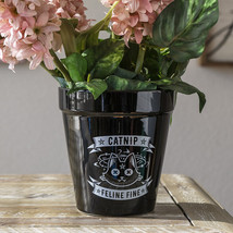 Catnip Feline Fine Pentagram Black Cat Wicca Witch Flower Herbs Planter Pot - £19.76 GBP