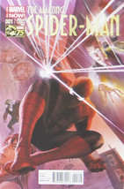 The Amazing Spider-man (Marvel Comics)  - Comic Cover Art  - Framed Picture 12&quot;x - £25.70 GBP