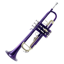 TOP Quality Bb Purple Lacquer Trumpet w Hard Case Care Kit Band Approved - £125.89 GBP