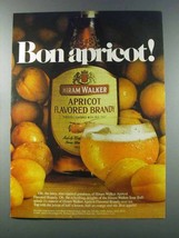 1981 Hiram Walker Apricot Brandy Ad - Bon Apricot! - £13.89 GBP