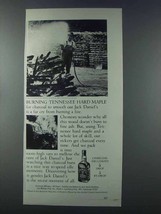 1981 Jack Daniel&#39;s Whiskey Ad - Tennessee Hard Maple - £14.78 GBP