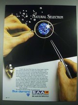 1988 SAA South African Airways Ad - Natural Selection - £14.89 GBP