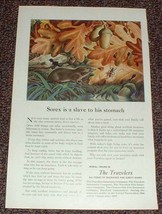 1948 Travelers Insurance, Common Shrew Sorex NICE!! - $18.49