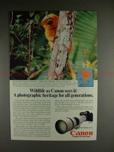 1982 Canon F1 F-1 Camera Ad w/ Golden Lion Tamarin!! - $18.49