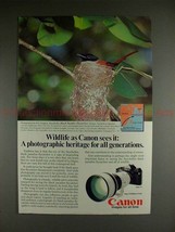 1982 Canon F1 Camera Ad, w/ Black Paradise Flycatcher!! - $18.49