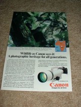 1985 Canon New F-1 Camera Ad, Pygmy Chimpanzee NICE!! - £14.50 GBP