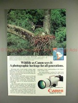 1985 Canon F1 F-1 Camera Ad w/ Harpy Eagle - Wildlife!! - $18.49
