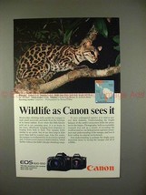 1989 Canon EOS 620 &amp; 650 Camera Ad w/ Margay - Wildlife - £14.25 GBP