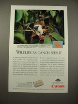 1994 Canon Communicator Ad w/ Pied Bare-face Tamarin - £14.77 GBP