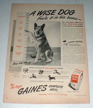 1947 Gaines Meal Dog Food Ad w/ Rin Tin Tin III - £13.91 GBP