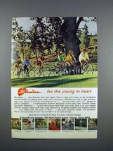 1972 Schwinn Bicycle Ad - the Young in Heart! - $18.49