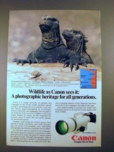 1985 Canon F-1 Camera Ad - Galapagos Marine Iguana - £14.50 GBP