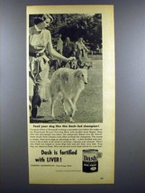 1953 Dash Dog Food Ad - Borzoi, Khan of Romanoff - £14.77 GBP