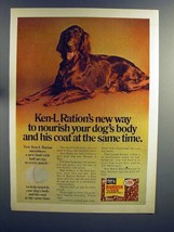 1975 Ken-L Ration Dog Food Ad - Irish Setter - £14.81 GBP